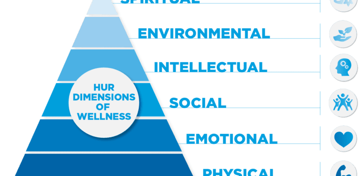The Six Dimensions Of Wellness | El Paso Texas Chiropractor