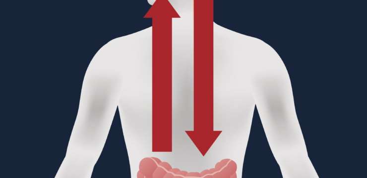 Gut Brain Axis | El Paso Texas Chiropractor