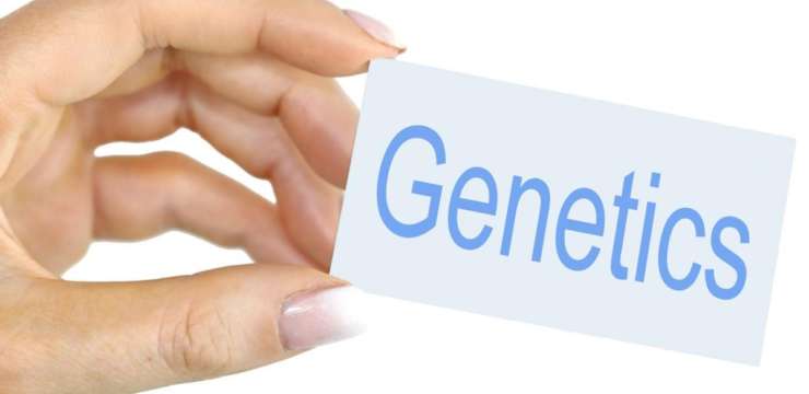 Functional Wellness: Genetics & Methylation Dysfunction | El Paso Coach