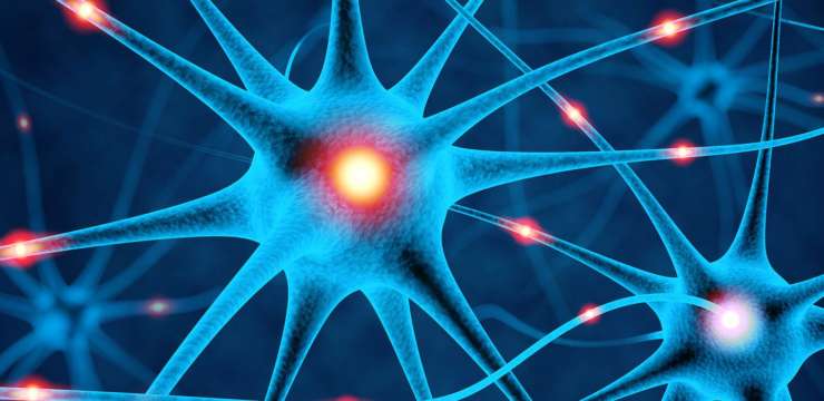 Mitochondrial Dysfunction & The Nervous System | El Paso Health Coach
