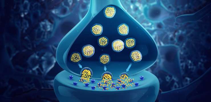 Neurotransmitters-what are they and why are they important? El Paso Texas Health Coach