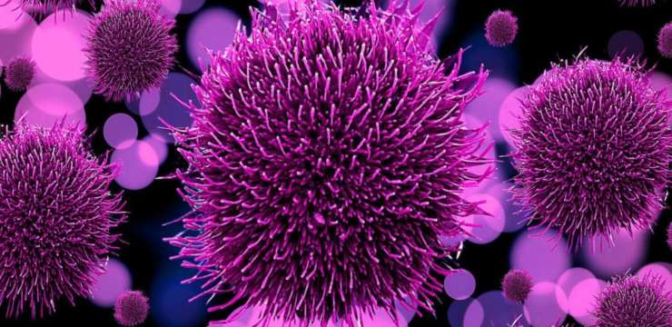 Pathogens What Are They | El Paso Texas Chiropractor