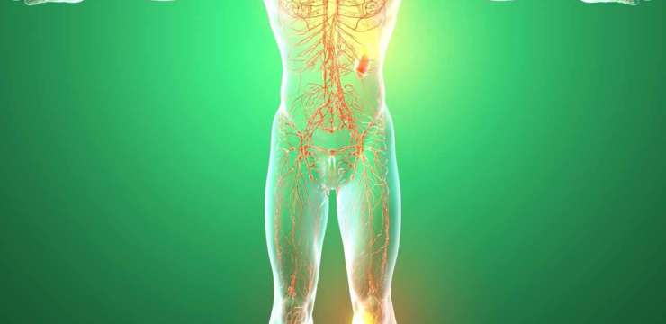Tissues of the body | El Paso TX
