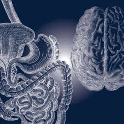 Gut-Brain-Spine Nutrition for Healing Neck Injuries