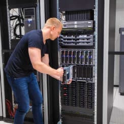 Metabolic Reset for Data Center Employees Revealed