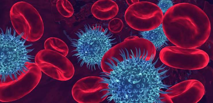 Image showing HIV/AIDS and opportunistic infections in the bloodstream.