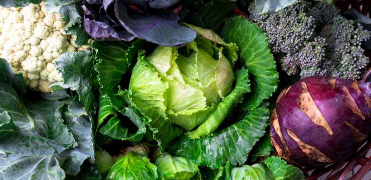 Good Foods to Help Promote Longevity | El Paso, TX Chiropractor
