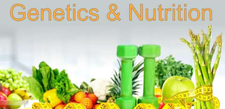 Genetics and Nutrition | El Paso Health Chiropractor Coach