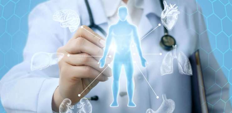 What are the Main Detoxification Systems? | El Paso, TX Chiropractor