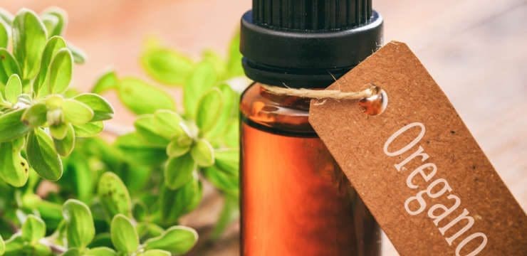 Oregano